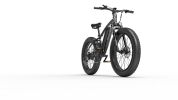 GOGOBEST 26 Inch Fat Tire 1000w Motor 48V 13ah Battery 7 Speed Electric Bike - black