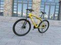 BMW Cross Country Mountain Bike Double Disc Brake (Option: Gold-24inches by 15inches)